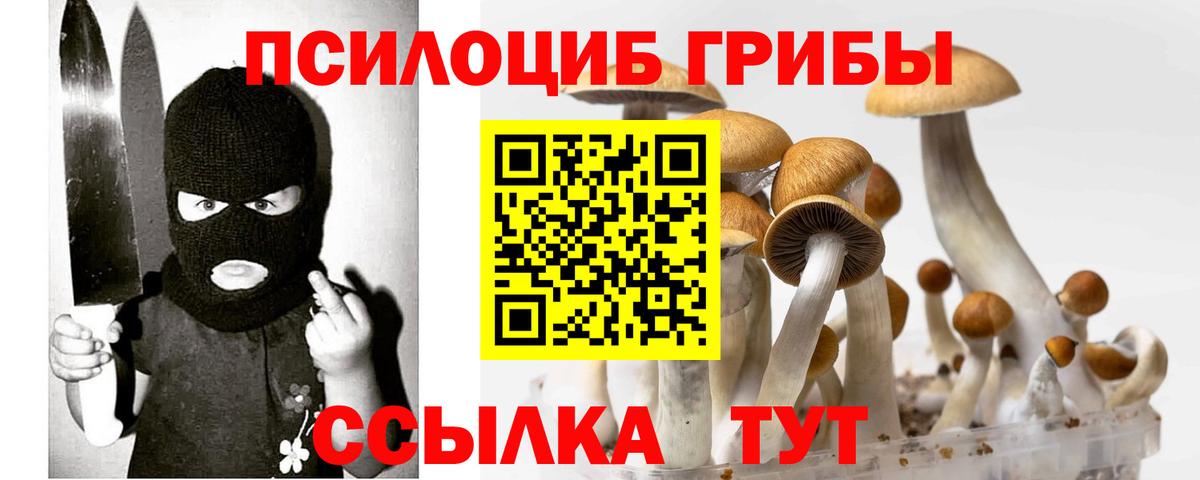 Галлюциногенные грибы Psilocybine cubensis  Вход с VPN  Карачаевск  Галлюциногенные грибы Cubensis 